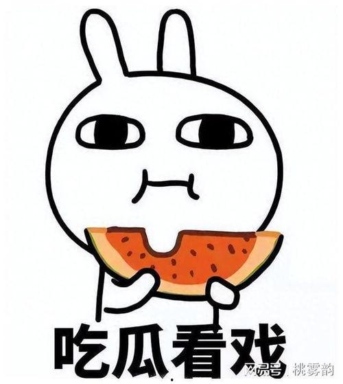 吃瓜大佬离婚,吃瓜大佬离婚事件，背后真相揭秘