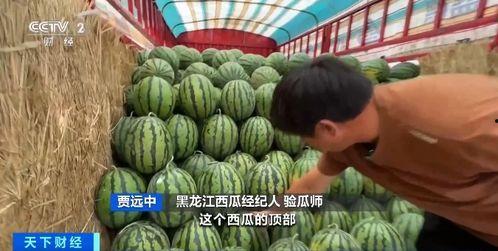 万鹏吃瓜,揭秘娱乐圈幕后故事